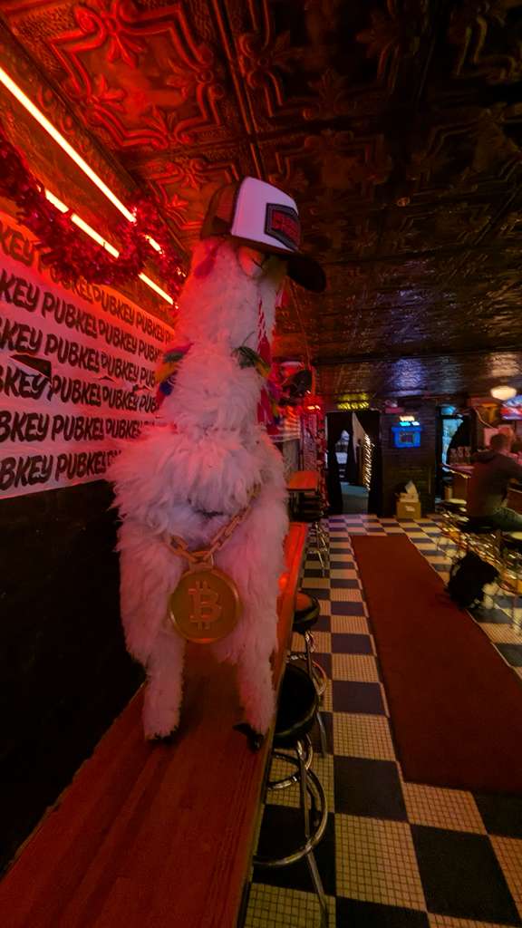 Mascota tipo llama con gorra y una gran medalla de Bitcoin, colocada sobre la barra frente al mural con la palabra PUBKEY