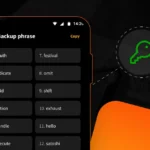 Autocustodia de bitcoin en Blink: pantalla de frase de recuperación de 12 palabras y llave privada