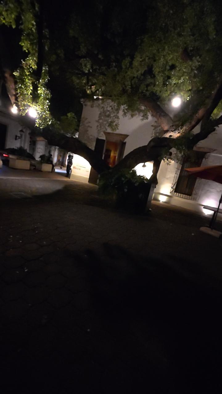 Calle nocturna de la Zona Colonial de Santo Domingo con árboles, farolas y arquitectura colonial iluminada