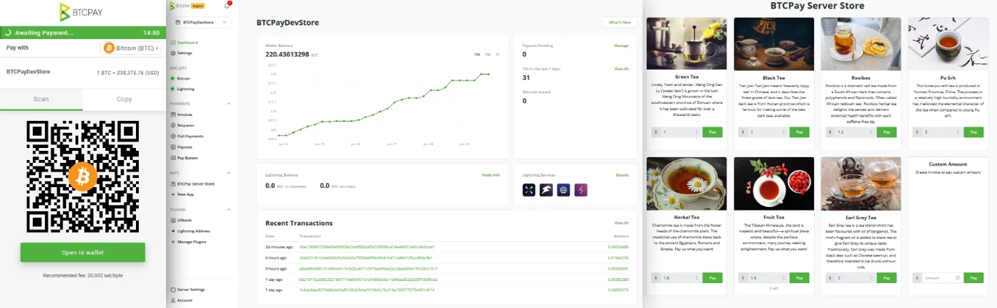 Interfaz web de BTCPay Server