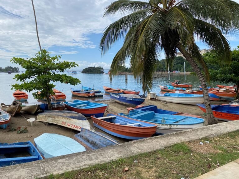 Botes de pesca de colores en la orilla de la bahía de Santa Bárbara de Samaná